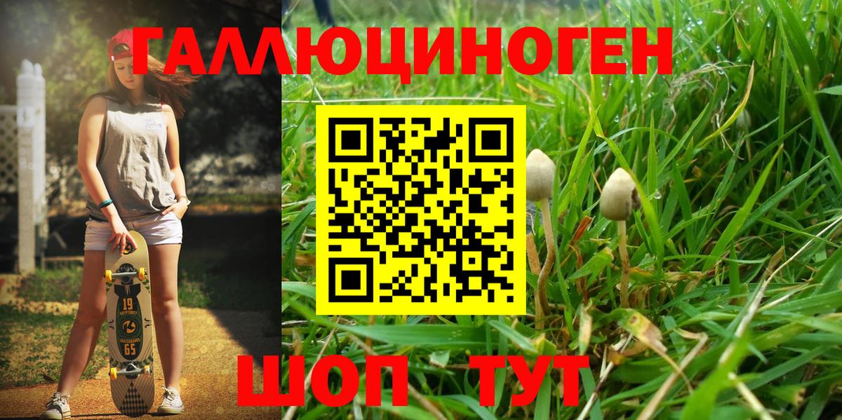 Сосновоборск  Галлюциногенные грибы мухоморы  Галлюциногенные грибы мухоморы  Вход с VPN 